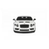 Bentley Continental GT3R