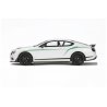 Bentley Continental GT3R