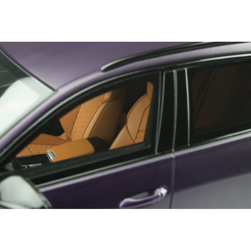 AUDI RS6 AVANT MERLIN PURPLE MATTE