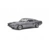 SHELBY MUSTANG GT500 GREY & BLACK STRIPES 1967