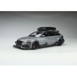 Audi RS 6 (C7) DTM Grey...