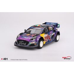 Ford Puma Rally N°42...