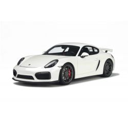 Porsche Cayman GT4 White 2013