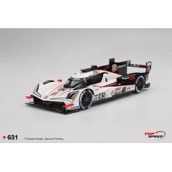 Acura ARX-06 GPT Daytona 24...