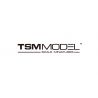 TSM MODEL