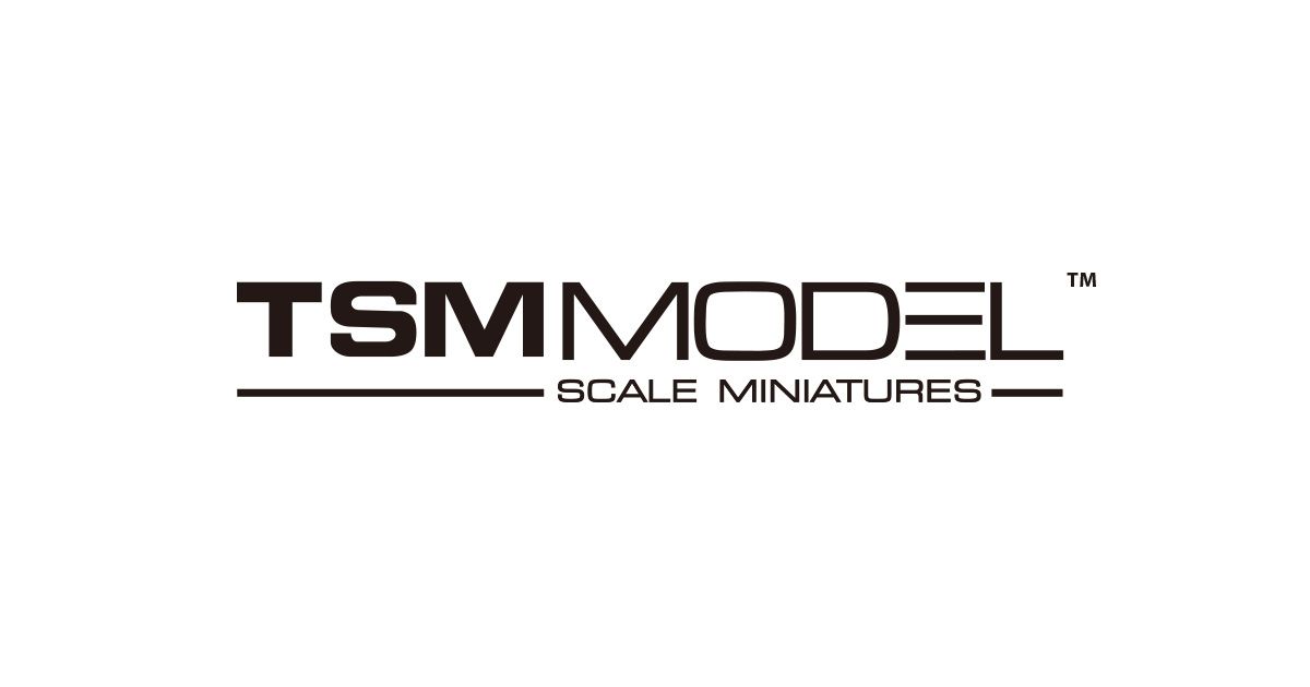 TSM MODEL